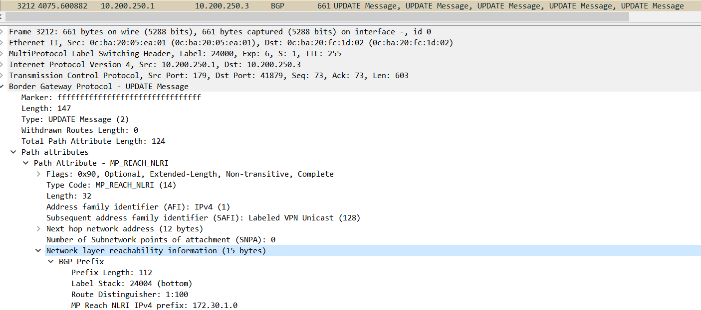 BGP_WIRESHARK_MPLS